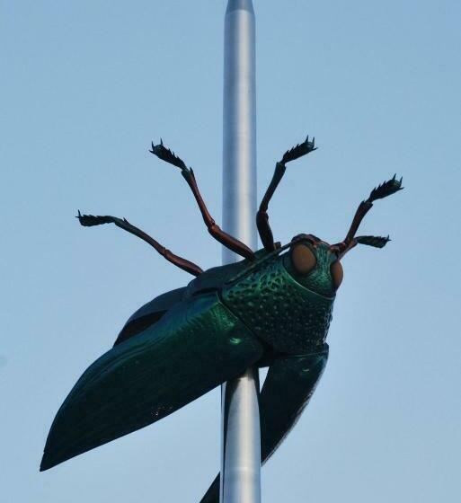 펜션 Nena Guesthouse