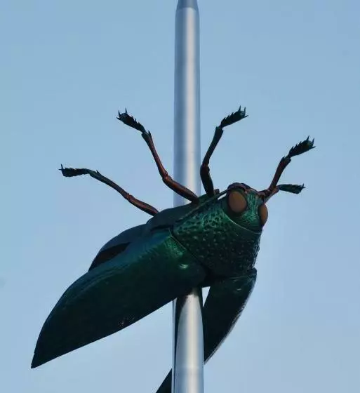 ペンション Nena Guesthouse