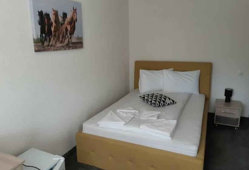 هاستل Pensiunea La Gagea