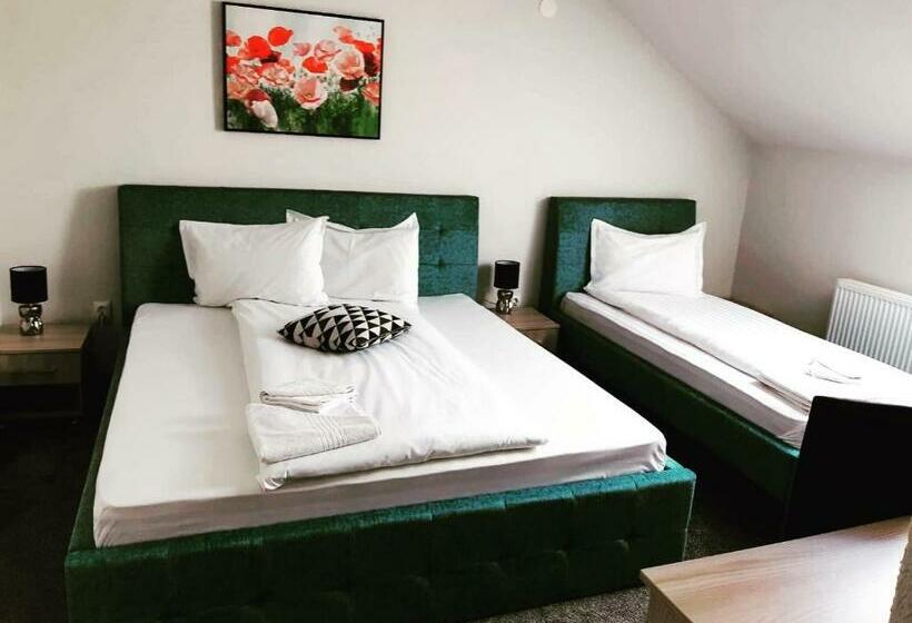 هاستل Pensiunea La Gagea