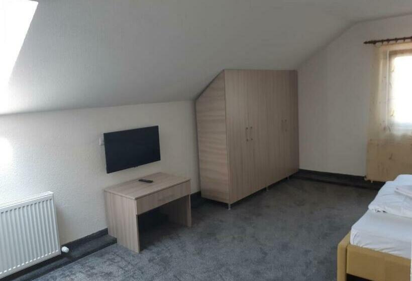 هاستل Pensiunea La Gagea