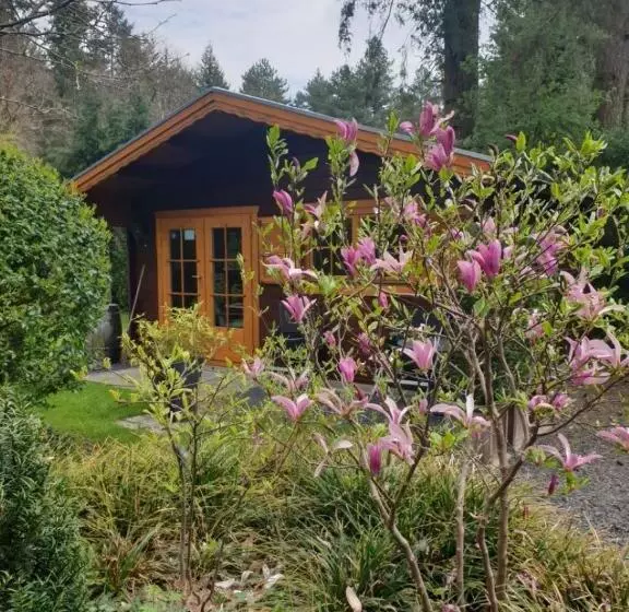 Aamiaismajoitus (B&B) Bed En   Of Zonder   Breakfast Putten