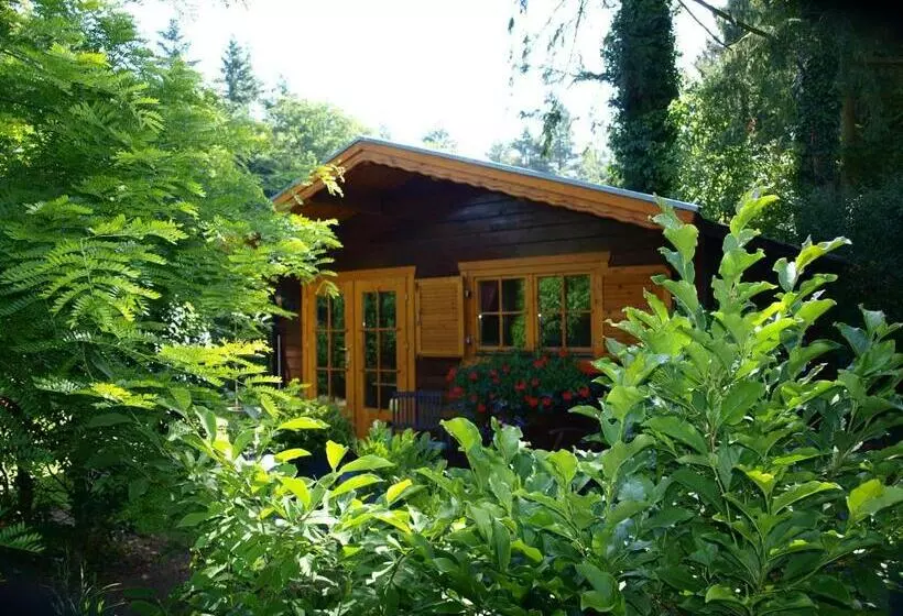 Aamiaismajoitus (B&B) Bed En   Of Zonder   Breakfast Putten