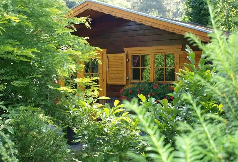 Aamiaismajoitus (B&B) Bed En   Of Zonder   Breakfast Putten