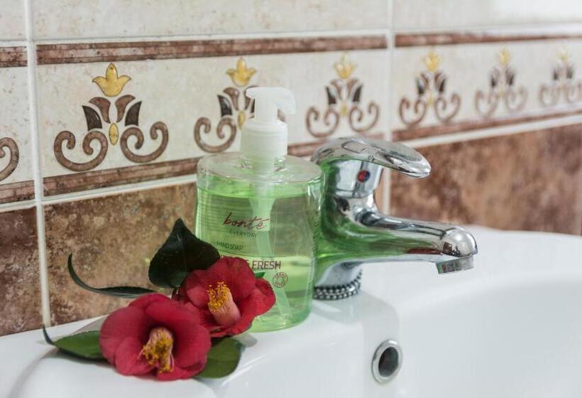 بنسيون Areal De Santa Bárbara Guest House