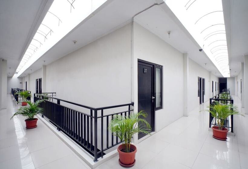 Pension D Paragon Trikora