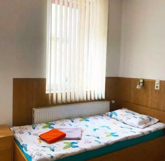 Pension Haus Baron 1 Neckarau