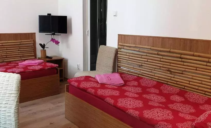 Pension Haus Baron 1 Neckarau