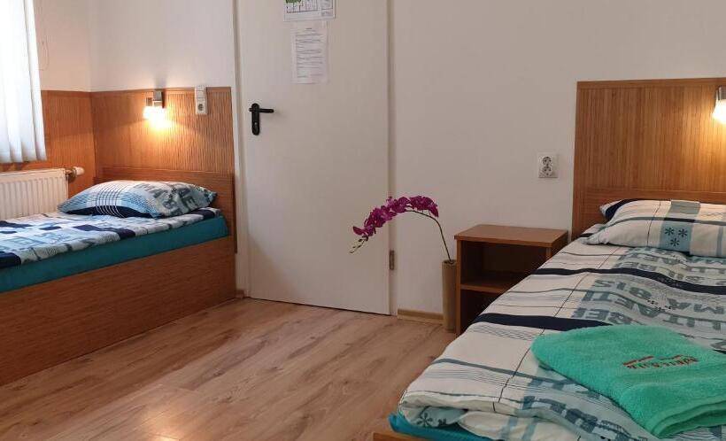 Pension Haus Baron 1 Neckarau