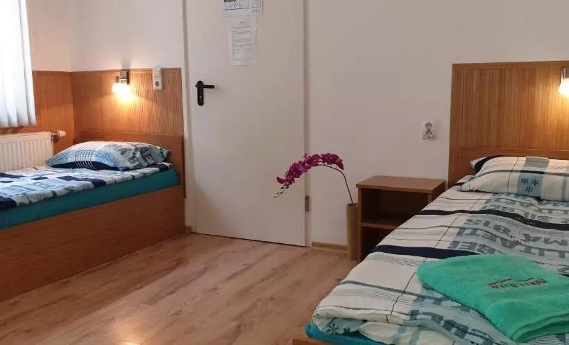 Pension Haus Baron 1 Neckarau