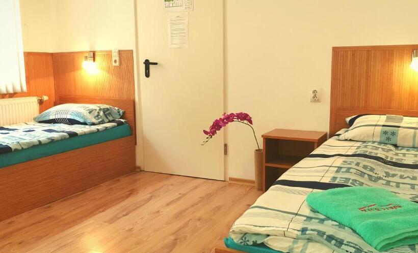 Pension Haus Baron 1 Neckarau