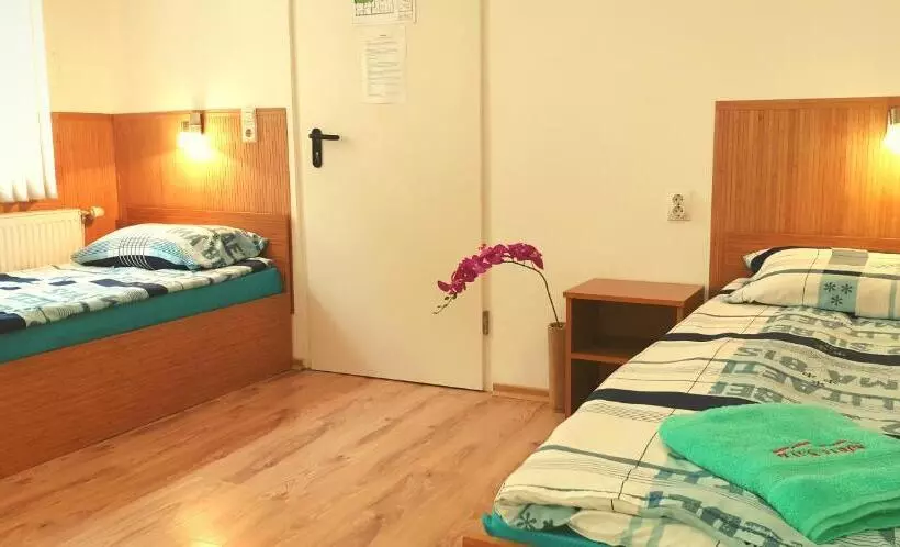 Pension Haus Baron 1 Neckarau