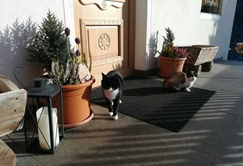 Отель Bigraberhof