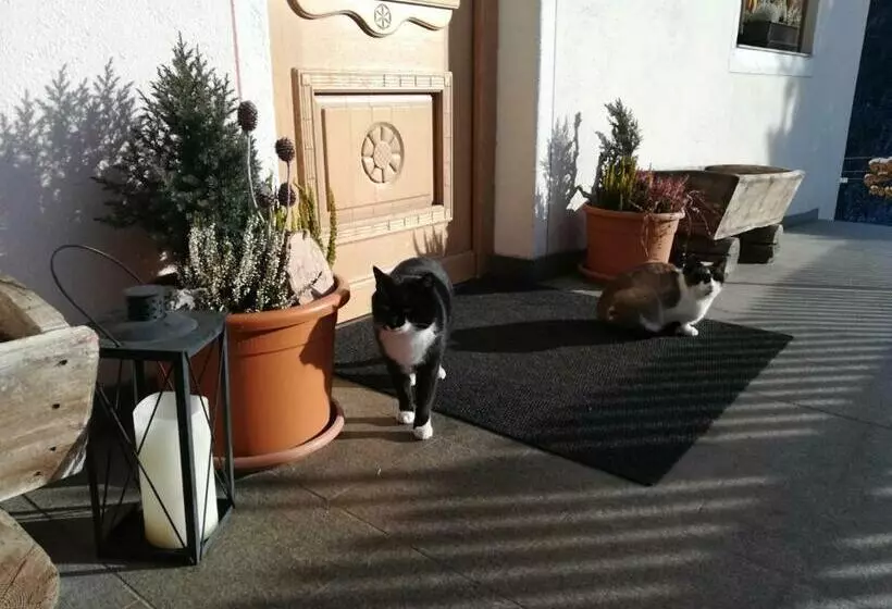 Hotelli Bigraberhof