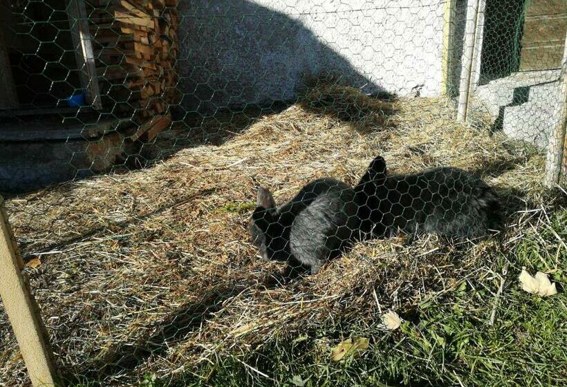 Отель Bigraberhof