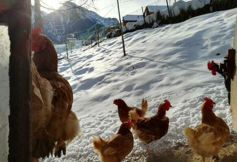 Отель Bigraberhof