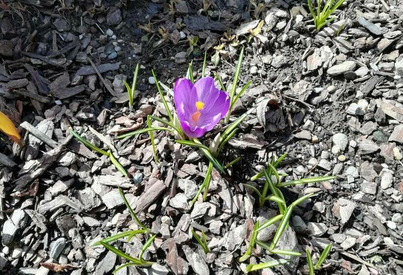 Отель Bigraberhof