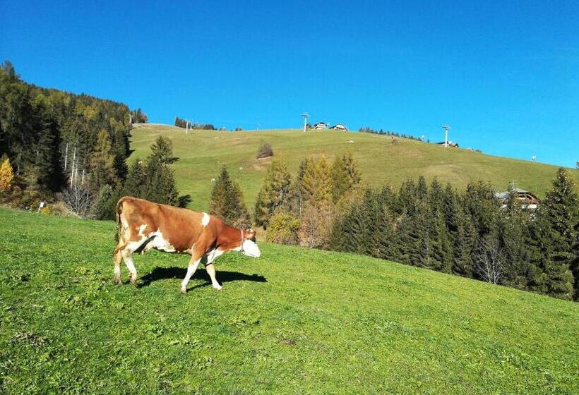 Отель Bigraberhof