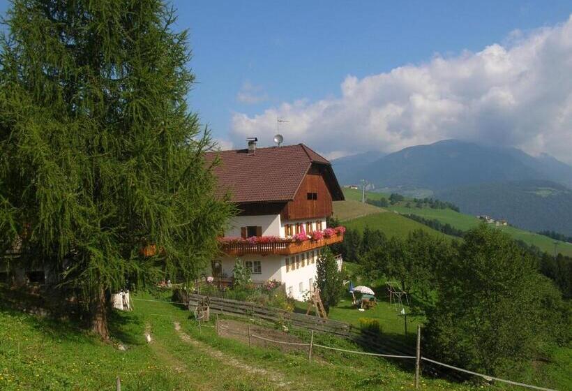 Отель Bigraberhof