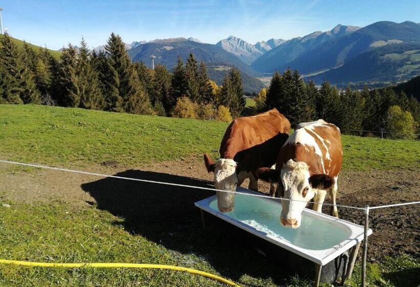 Отель Bigraberhof