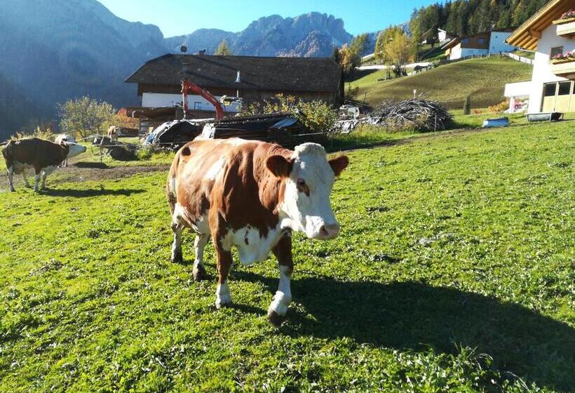 Отель Bigraberhof