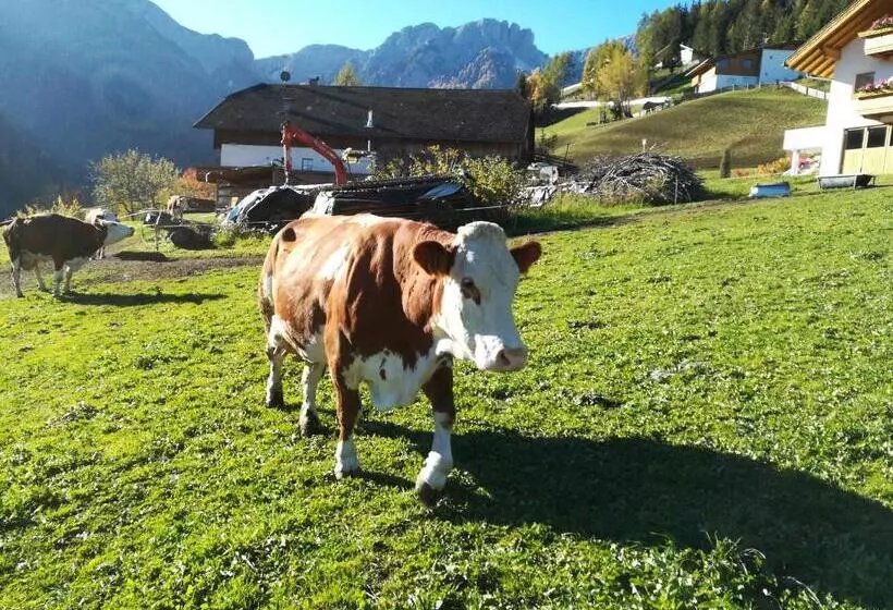 Hotelli Bigraberhof