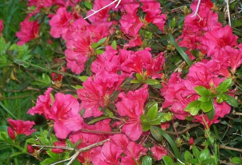 Пансион Etxe Goxoan Chambres D Hôtes Avec Cuisine été équipée Commune Et Jaccuzi