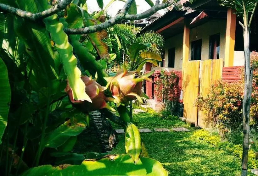 Majatalo Volcano Living