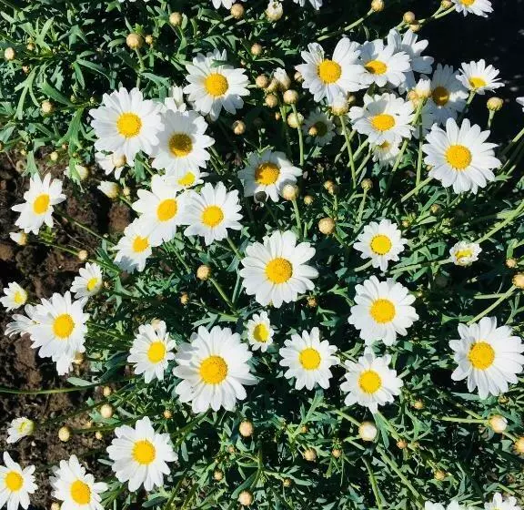 Aamiaismajoitus (B&B) Enroute367