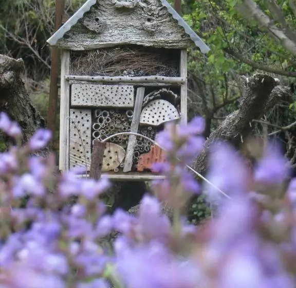 Aamiaismajoitus (B&B) Mas De L Ermitage