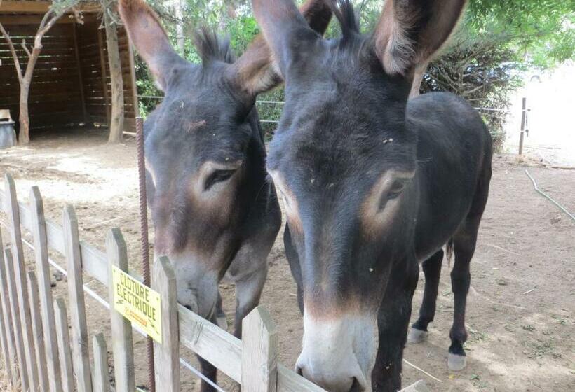 مبيت وإفطار Mas De L Ermitage