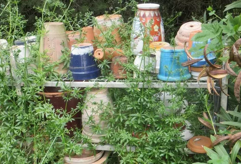 Aamiaismajoitus (B&B) Mas De L Ermitage