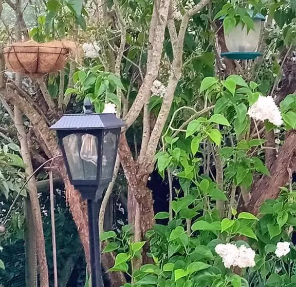ベッドアンドブレックファースト Ode Au Bonheur St Georges Sur Cher