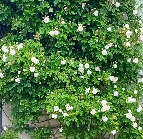 צימר Ode Au Bonheur St Georges Sur Cher