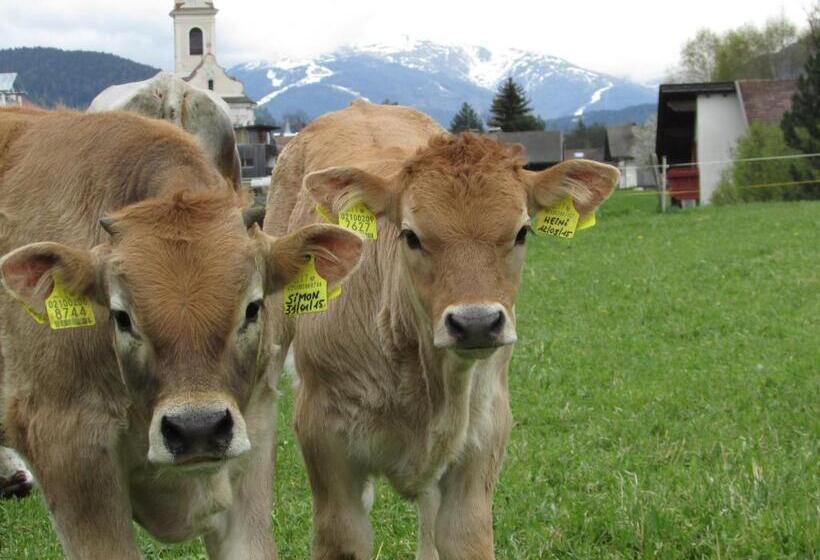 בית מלון כפרי Stifterhof