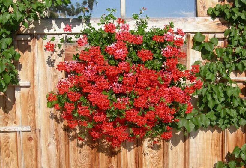 בית מלון כפרי Stifterhof