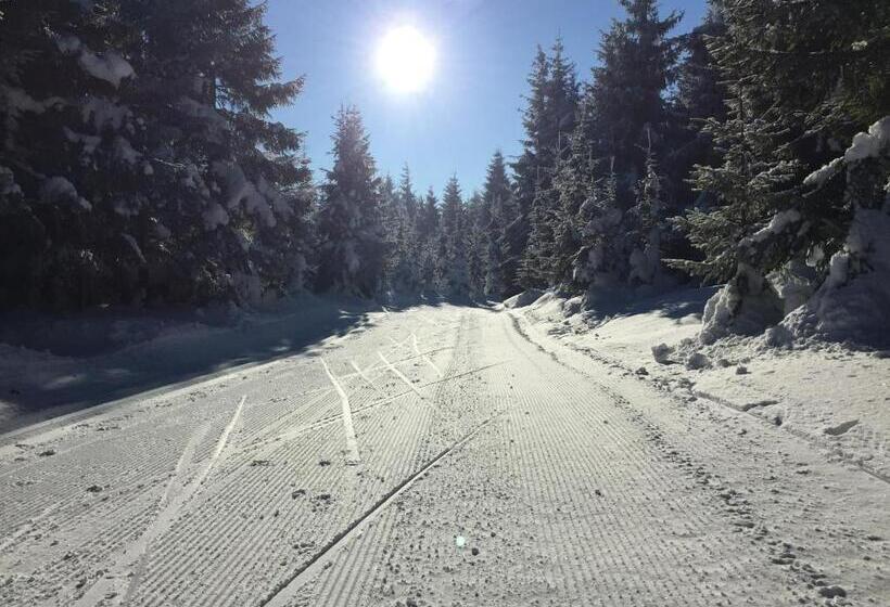 膳宿费 Beerenvilla