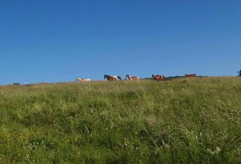 Majatalo Redspring Chambres D Hôtes