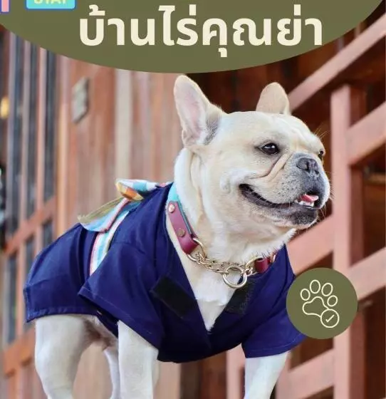 Lomakeskus Baanrai Khunya บ้านไร่คุณย่า