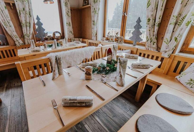 Общежитие Berggasthof Hochpröller