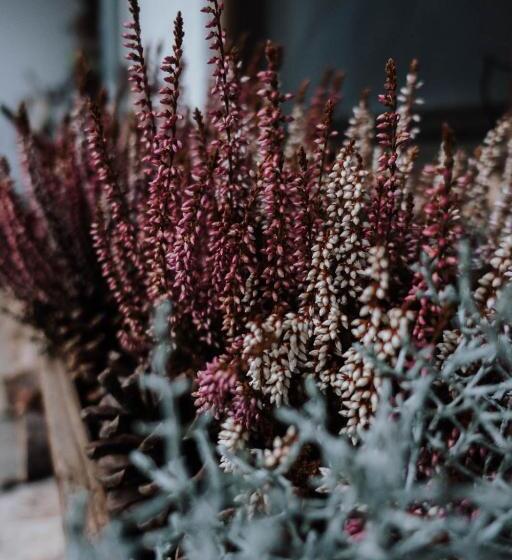 旅馆 Berggasthof Hochpröller