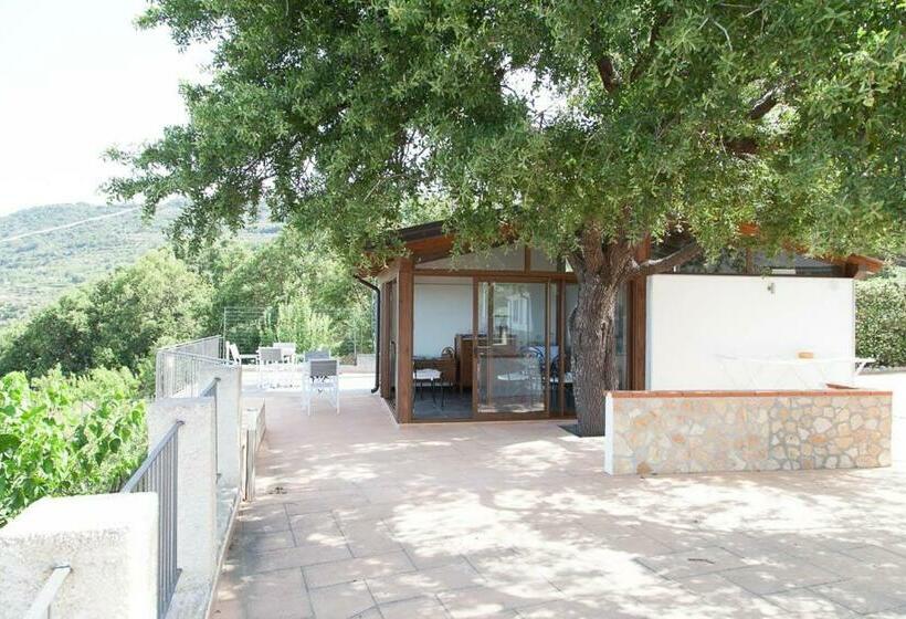 B&b Le Rose Del Tirreno