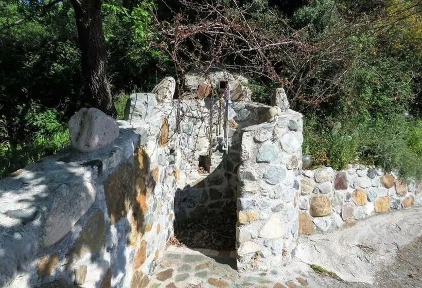 B&b Le Rose Del Tirreno