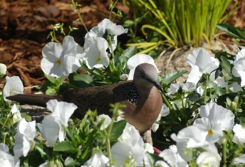 Cedarview Bed & Breakfast