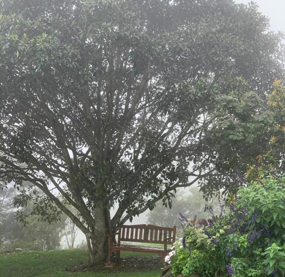 Cedarview Bed & Breakfast