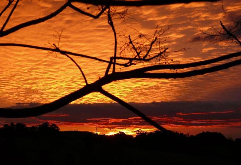 Cedarview Bed & Breakfast