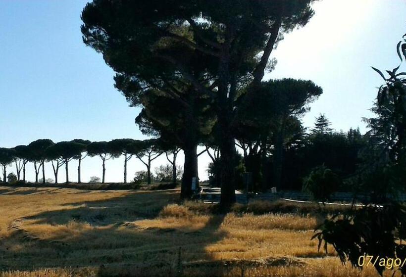 پانسیون Affittacamere Da Laura Silvi