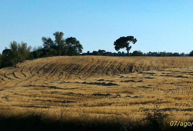 پانسیون Affittacamere Da Laura Silvi