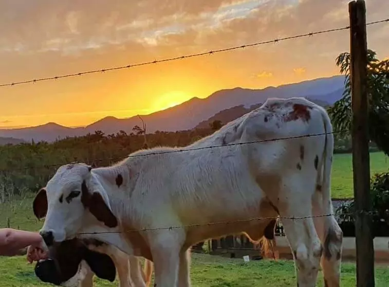 Majatalo Aldeia De Camburi