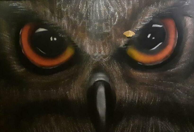 膳宿费 Aldeia De Camburi